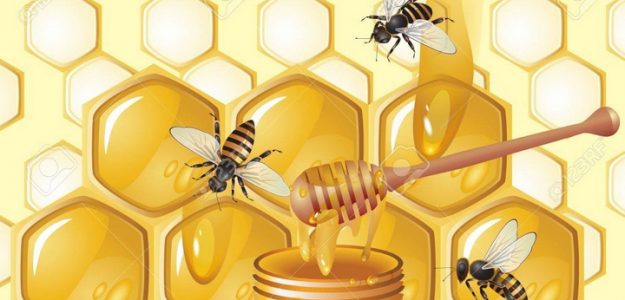 Pure Natural Beeswax/Raw BeesHoney