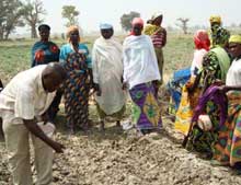 Women farmers advancement network