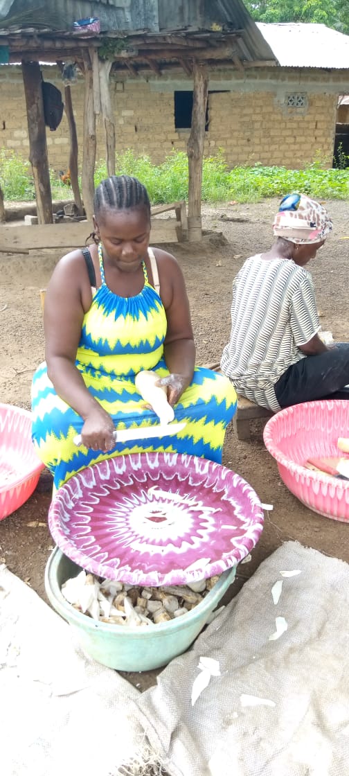 National Cassava Producers Union of Liberia [NCPUL]