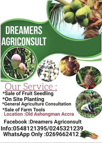 DREAMERS  AGRICONSULT