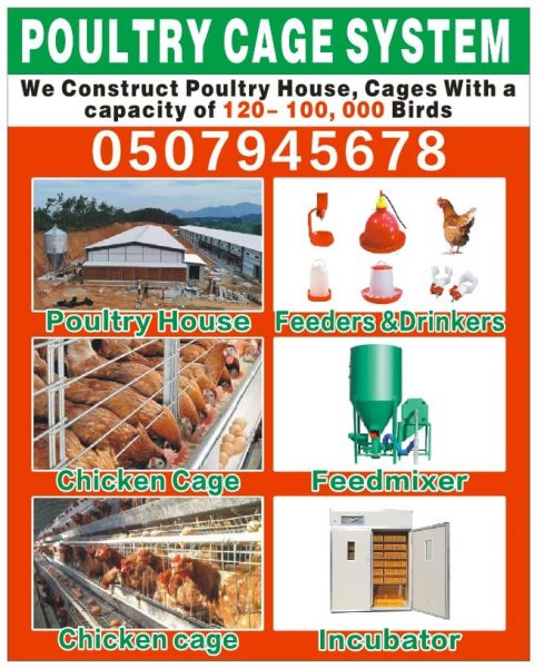 POULTRY CAGE SYSTEM ,CHICKS AND  EQUIPMENT